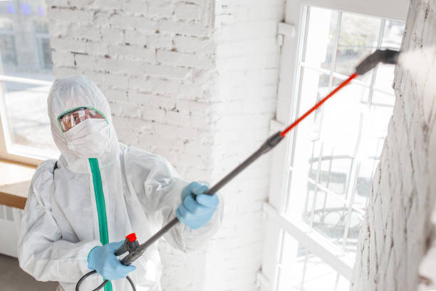 Best HVAC Mold Inspection and Cleaning  in North Plymouth, MA