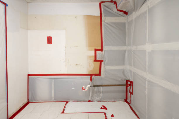 Best Dehumidification Services  in North Plymouth, MA