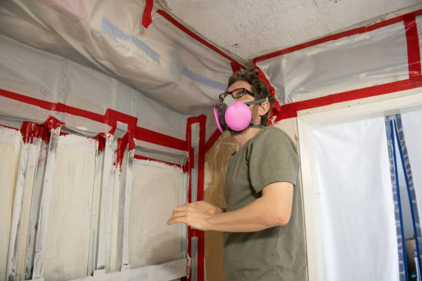 Best Mold-Related Health Consultation  in North Plymouth, MA