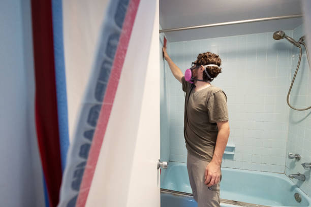 Best Asbestos and Lead Testing During Mold Inspection  in North Plymouth, MA