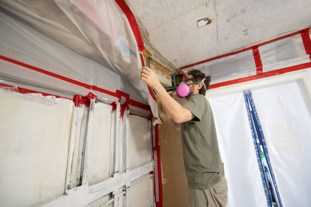 Best Asbestos and Lead Testing During Mold Inspection  in North Plymouth, MA