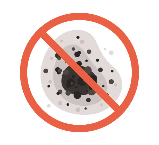 Mold Remediation for Rental Properties in North Plymouth, MA