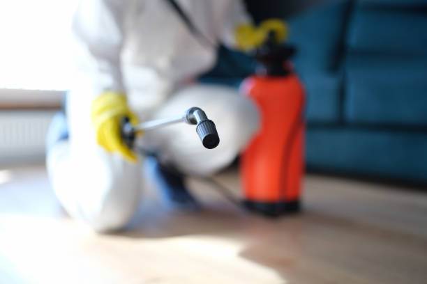 Best Comprehensive Air Testing for Mold Contaminants  in North Plymouth, MA